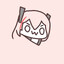 M4 SOPMOD enjoyer