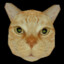 postal 2 cat