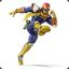 Captain Falcon