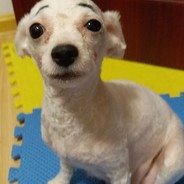 在当地有点小帅