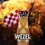 Wezel