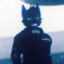 SpitfireTheWolf【=◈︿◈=】