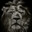 LiON?
