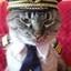 capitan fat cat 4