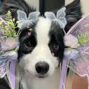 解婕