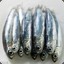 Anchovie