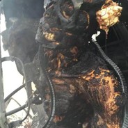 飞虎队长周星星