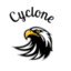 Cyclone