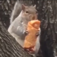 Brooklyn Squirrel