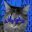 Anf1saU8