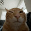 cheezball