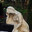 abhorrence