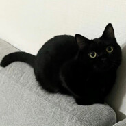 打架少个人 舔包多张嘴