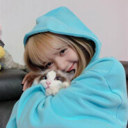 我不上猎杀了快拿出去