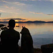 南城不知北77109