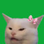 charizz_pepeko