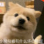 rushB然后刷抖音