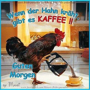 Kaffee beschwörender Hahn