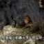 河南人偷背身