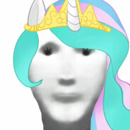 一只猪和一蜘蛛