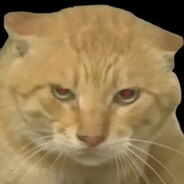 爱吃肉的墨雨轩