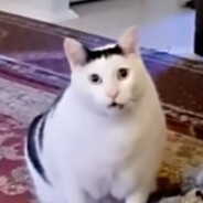 放手一搏吧别顾虑太多