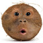 Slightly Off Ape