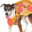 doG Gnosis