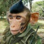 Comandante Chimpancé