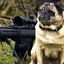 Sgt. Pugsley