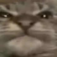 bonaqua ⁧⁧ ﷽﷽﷽﷽﷽