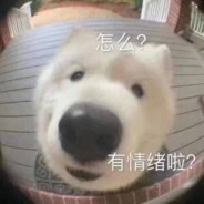 我站在云林打鱼头在晕