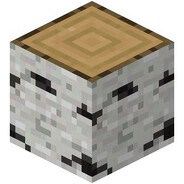 Birch Log