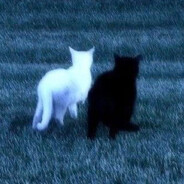 Миний муужгай A._.A