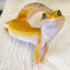 Lizard
