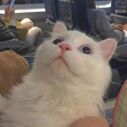 Big Avatar