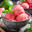 bigsorbet