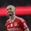 Mr.Loyal5