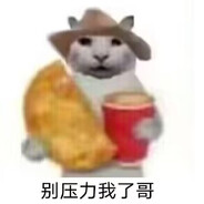 别压力我了哥