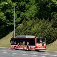 мне дали на клык