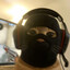 ShadowRend(PL)