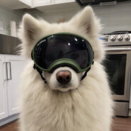 我有仁义礼智信 啥子都搞得定