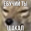 nnnjsj