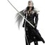 The Sephiroth