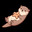 Otter0309