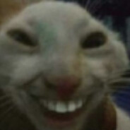 Avatar snapshot