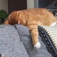 JJD无敌赛罗大王