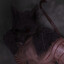 Wolfheart