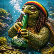 Kush Kush Turtle