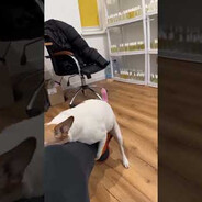 буберчик экстрим